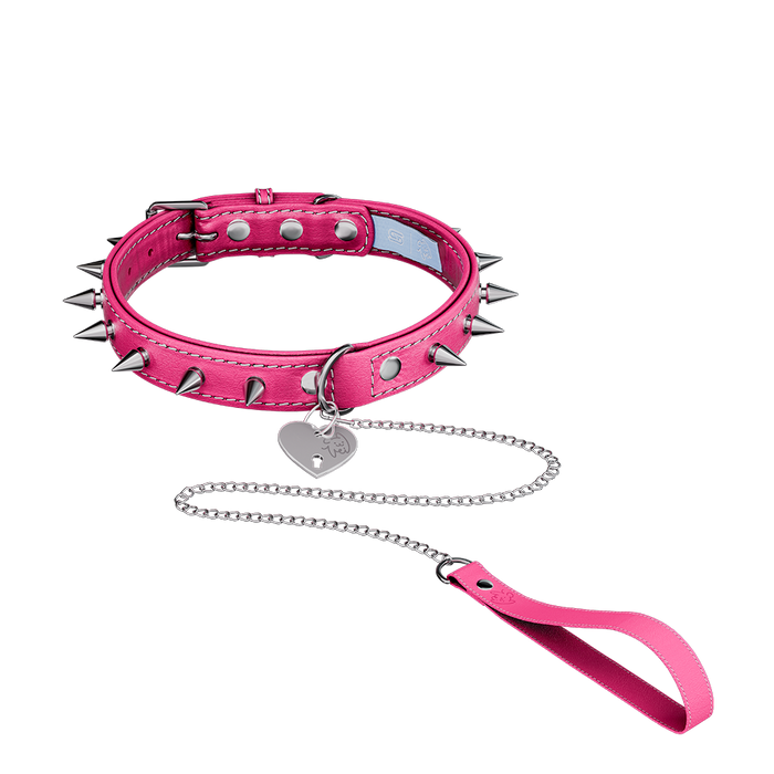 Vei: Snax Spiked Dog Collar + Leash - Gamer Supps
